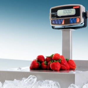 Torrey Washdown SS Scale EQB-W 40 LB X 0.01 LB,NTEP,Legal for Trade,Base Size