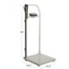 Salter Brecknell BLHS302121-660L HS-300 Physician Scale, Mild Steel with Durable - Image 2