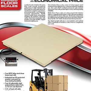 Detecto NTEP Floor Scales 48"X48"-5,000X 1 lb Legal for Trade
