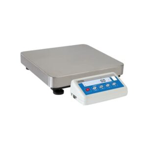 RADWAG WLC 12/F1/R Precision Balance