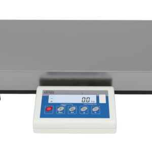 RADWAG WLC 60/C2/R Precision Balance