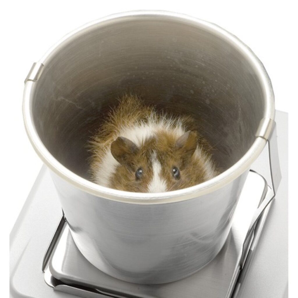 A&D Weighing  GP-12 - A&D Weighing GP-12 Scale Animal Pan