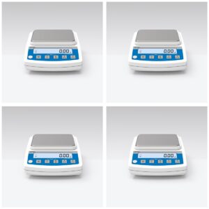 RADWAG WTC 2000 (WTC2000) Precision Scale 4-Pack, 2000 g x 0.01 g
